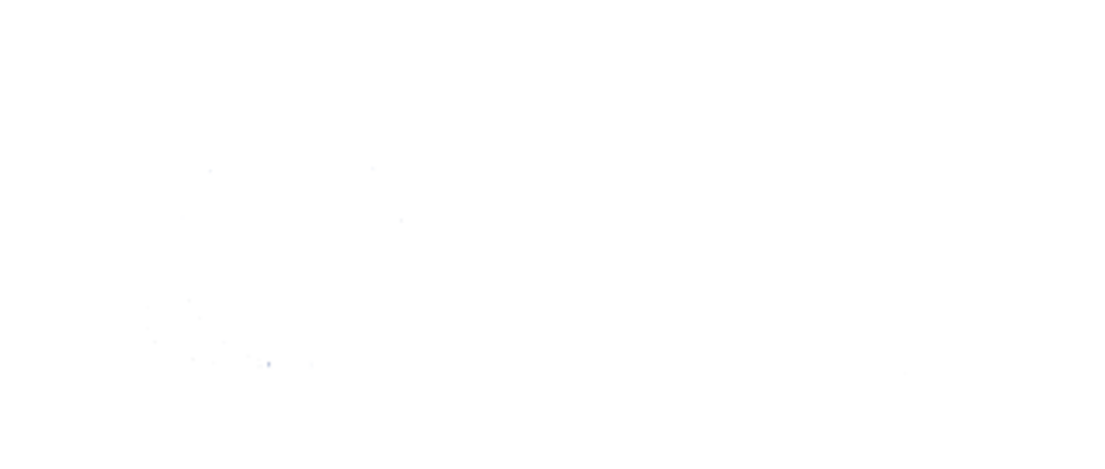 new-bridge-multi-academy-trust